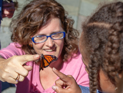 What the Caterpillars Taught Us | Celebrating Courtney Retzler