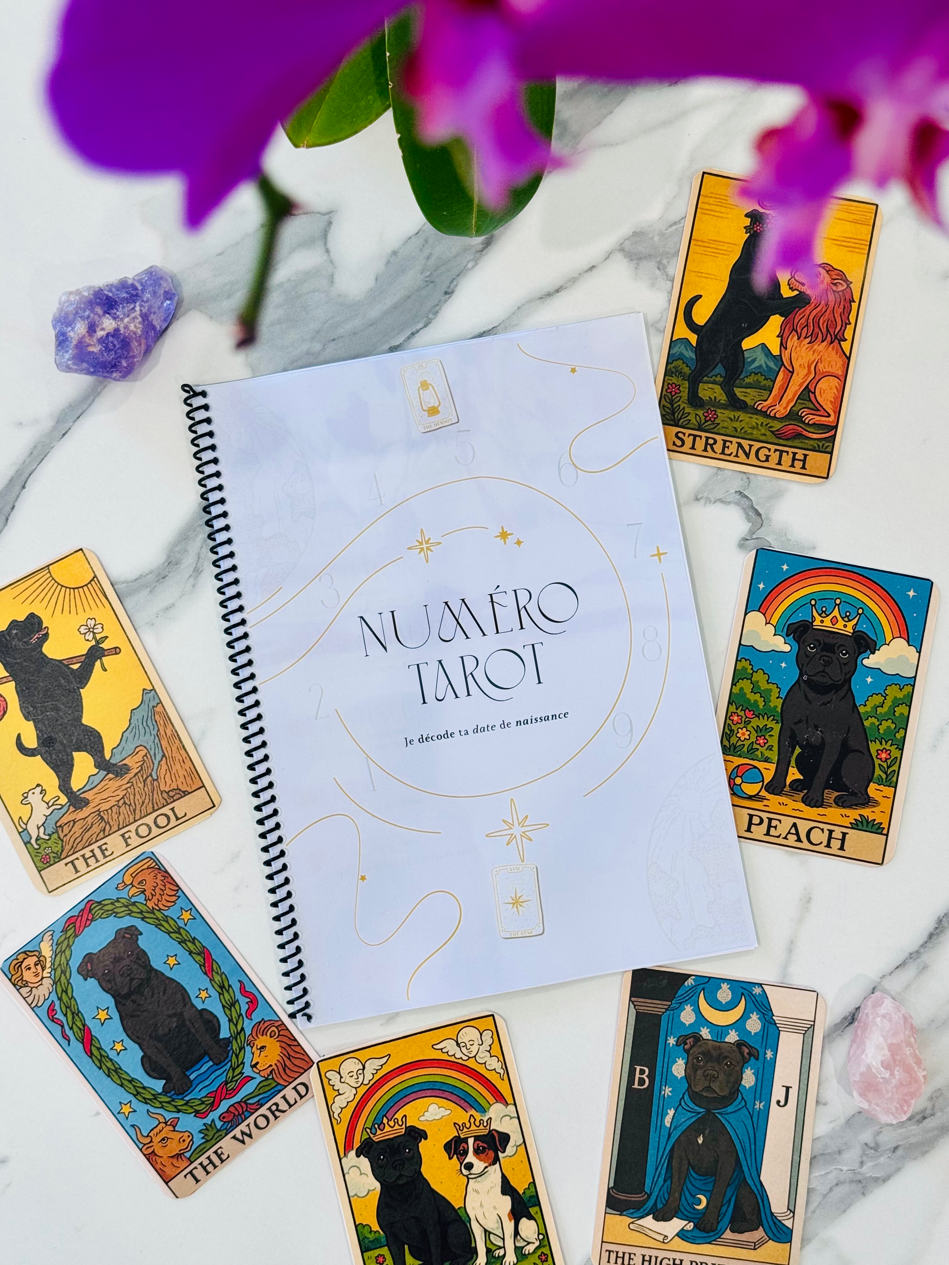 Numéro Tarot 💖🌟