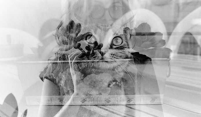 Ilford HP5+017.jpg