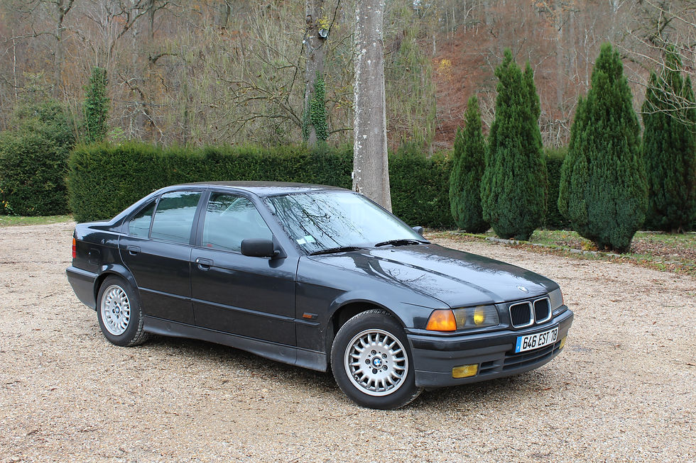 Miniature : BMW E36 316i