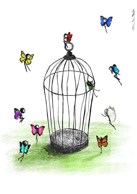 misure solo gabbia e fate.png