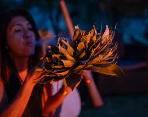 Ayahuasca Retreats in Mallorca