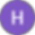Google H Icon