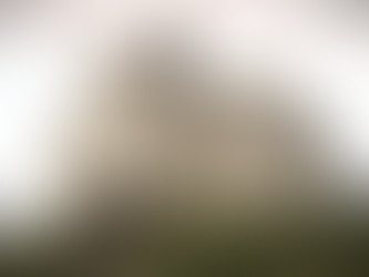 Castles! (William the Conqueror, 3/3)