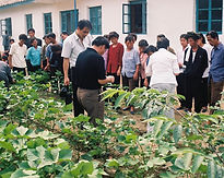 dr-ryu-yunpyong-of-hubei-ari-of-china-in
