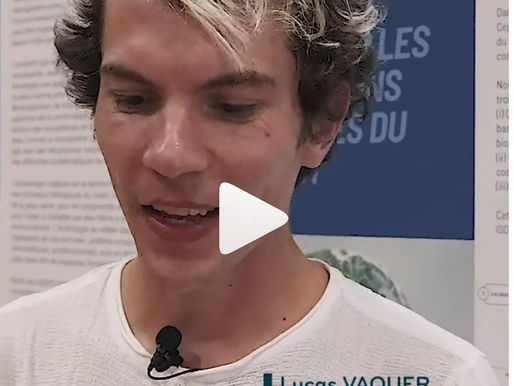 turning Biomimetism into social-first storytelling