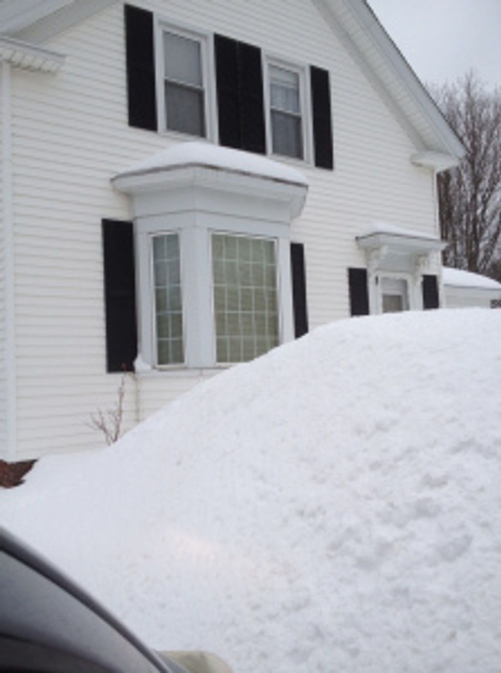 Michele's House in February