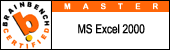 msexcel2000poweruser.gif