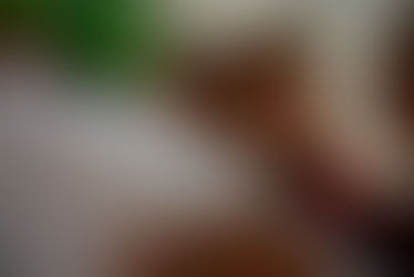 Canta Storia, il nostro coro