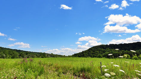 DSCN2902.JPG