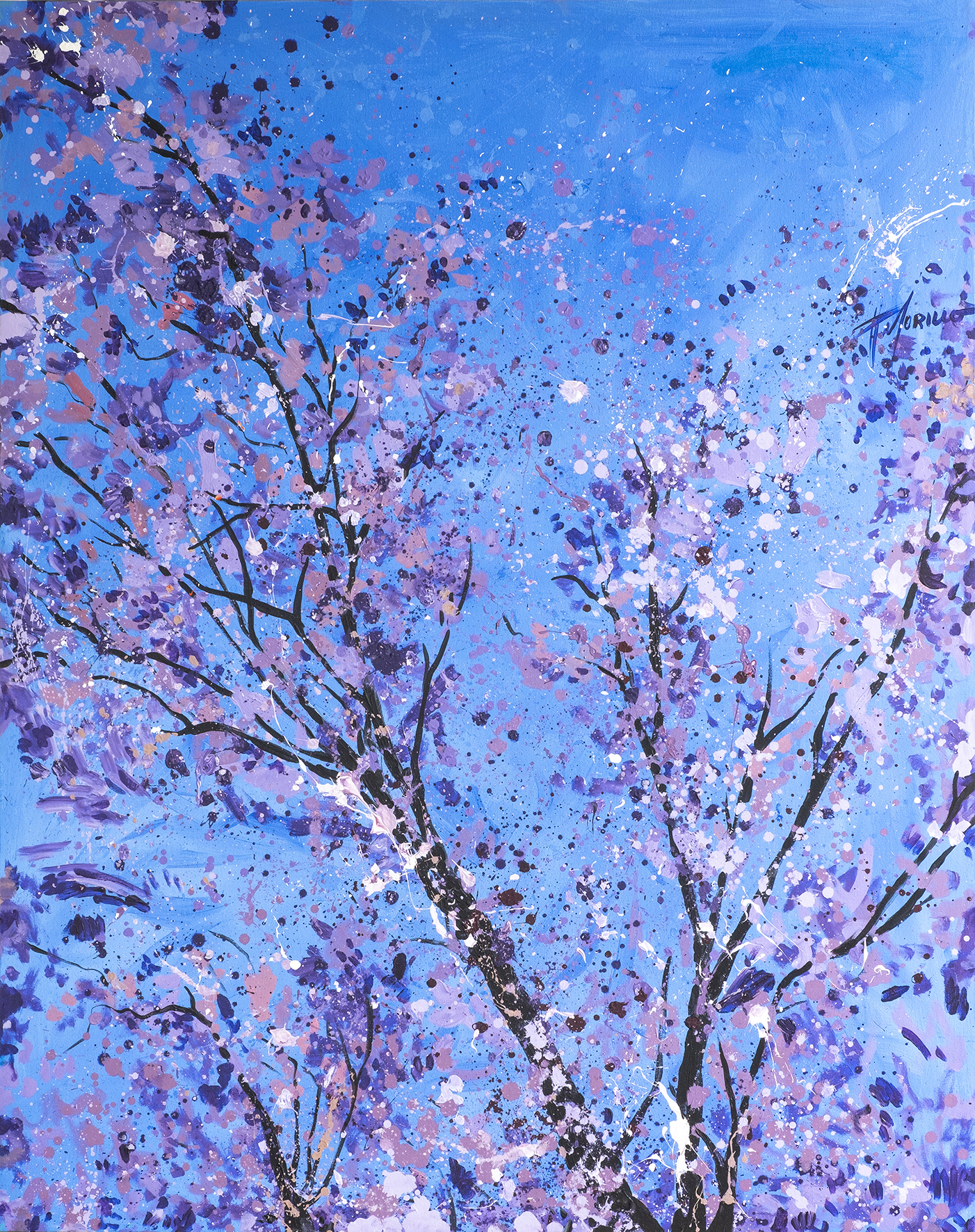Respiro de la Vida 2015