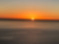 IMG_1386.jpeg