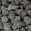 Thumbnail: High THCa Flower