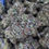 Thumbnail: High THCa Flower