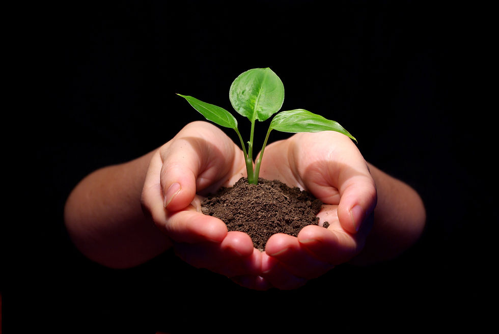 Clients Are The Key To Sustained Growth.