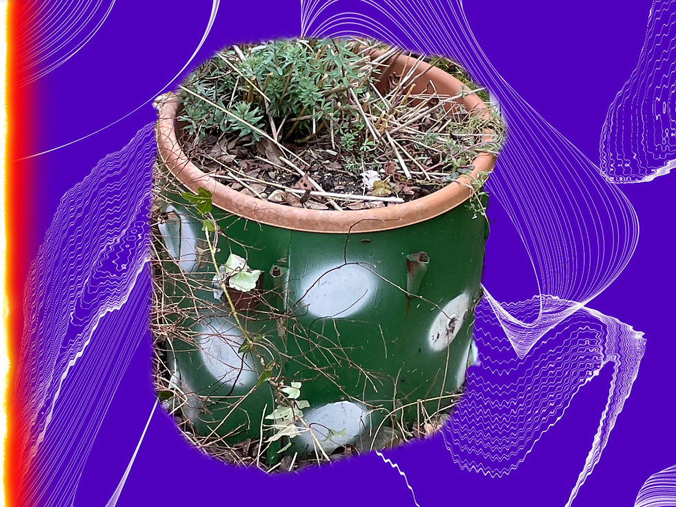 Schlagzeugblumentopf