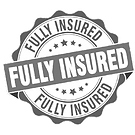 Fully-Insured_edited_edited_edited.png