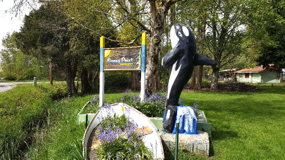 Sunny Point Gallery sunnypointrvpark