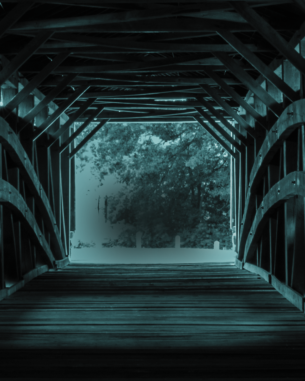 AUDITIONS MARCH 28 FOR THE BRIDGES OF MADISON COUNTY