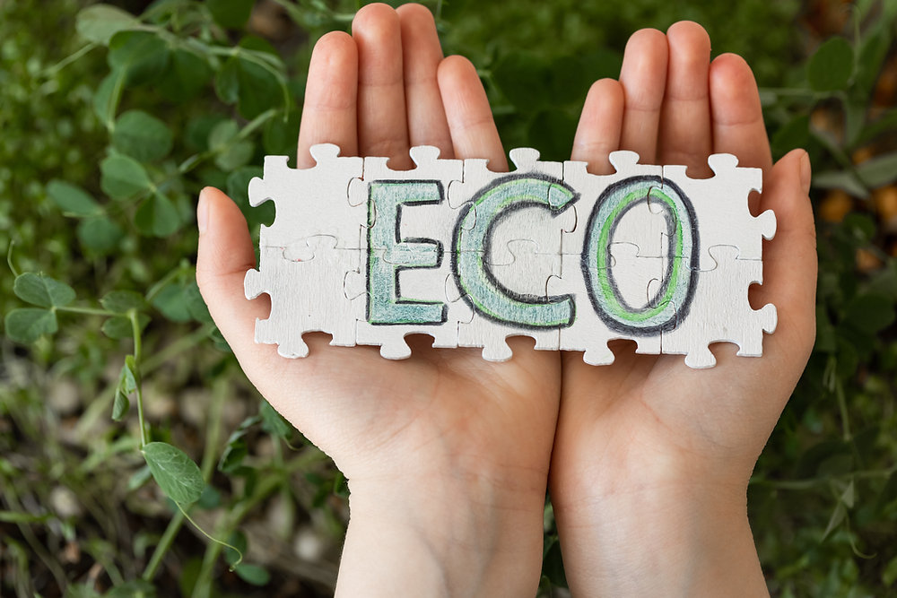 What is an Eco Resort and Why It Matters: Ecotourism and Responsible