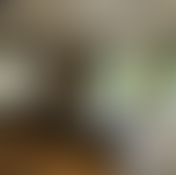 🌴 ダナン長期滞在・ロングステイガイド 2025年版
SNSで見た「安い南国ライフ」は幻想?現地のリアルを知る旅行者・長期滞在者必見