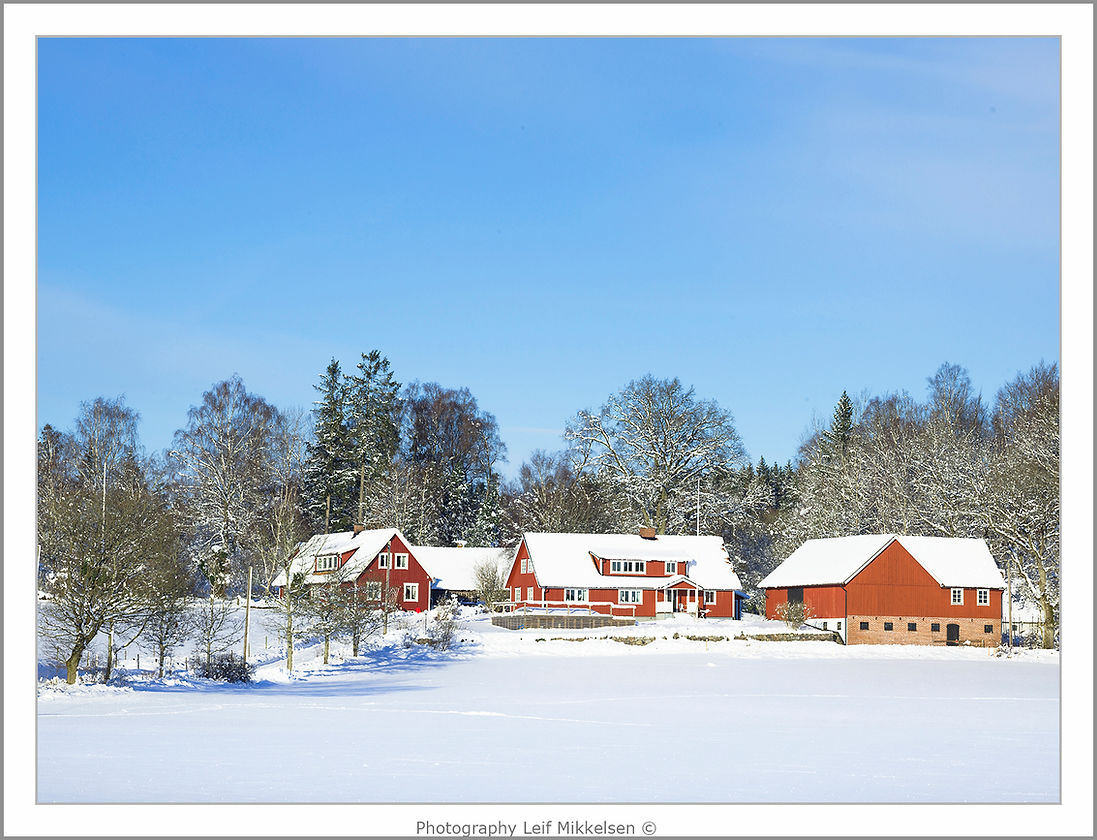 Job_0305-4 copy.jpg