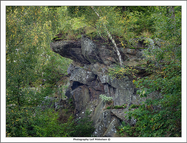 Job_0062 copy-2.jpg