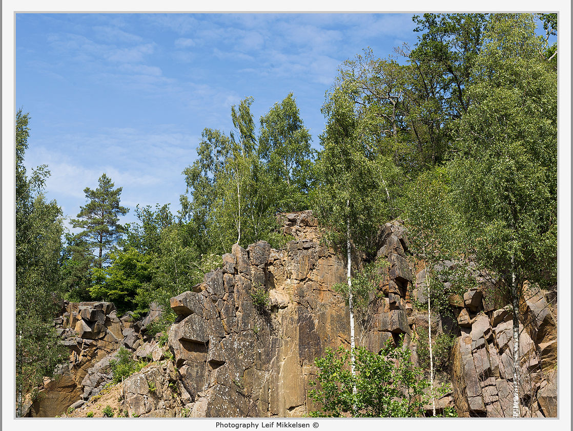 B0000452 copy.jpg