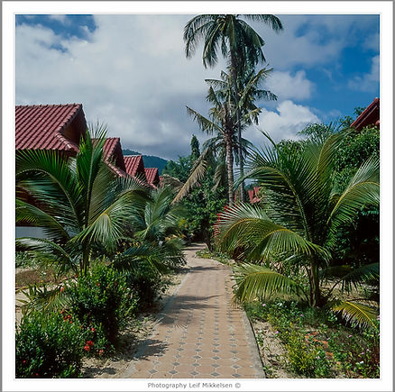 Koh Samui a-1 kopiera copy.jpg