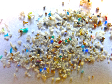 Microplastics: An Unseen Threat