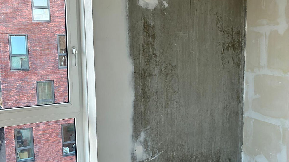Middelgrote woning in Zuid-Holland met recent geschilderde gevel
