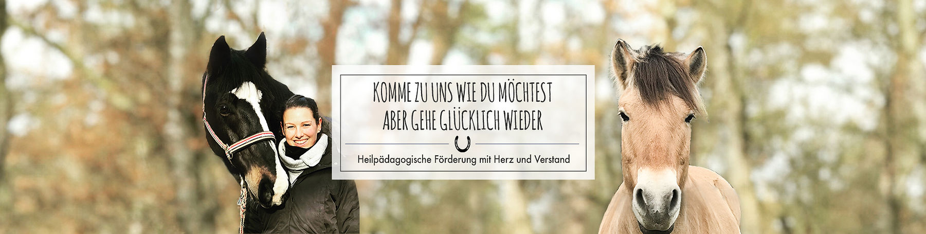 Reitfix_Header.jpg