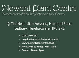 Newent Plant Centre.jpg