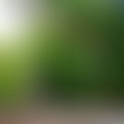 Luxury Glamping in Alabama