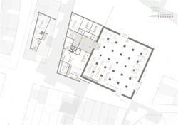 planta -3