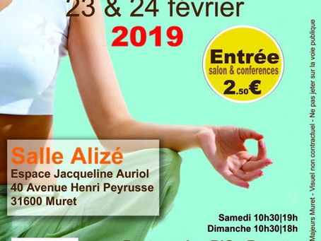Salon Zen de Muret le 23 et 24 février 2019 avec l'association Gingko.