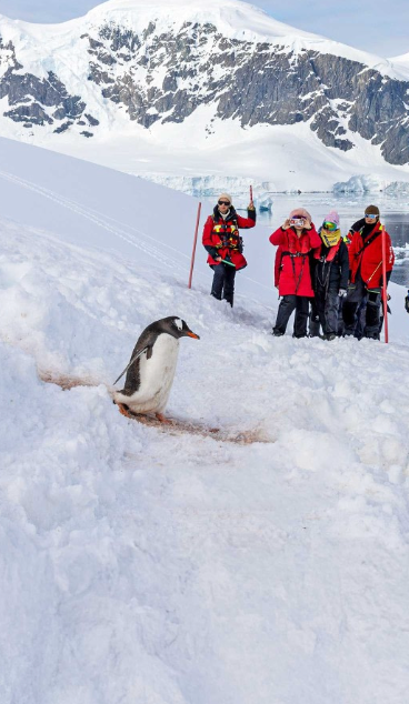 Screenshot 2025-11-22 at 07.52.53.png