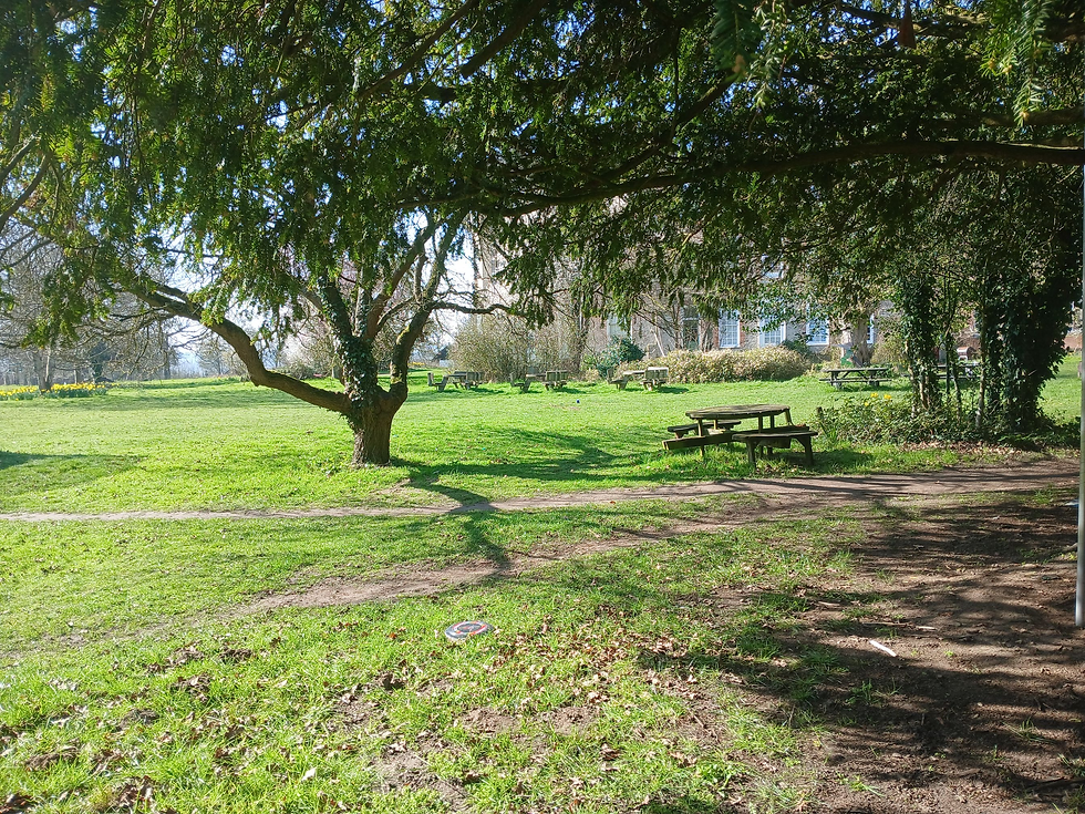 Spring Time Sweetness...