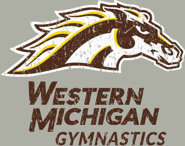 bronco distressed1.jpg