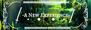 A New Experience