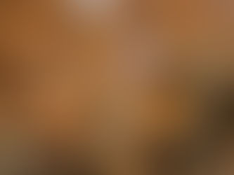 TWO YEARS LATER: Spring Forth and Blossom!