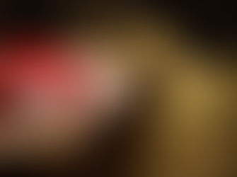 THE GIFT OF ASSURANCE:  It's Christmas!  Claim Your Gift!