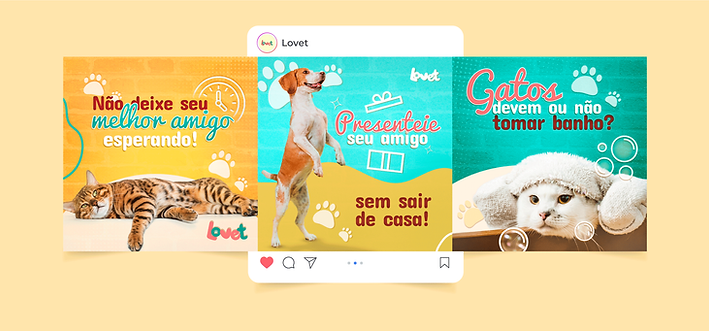 Three images from social media, with predominantly blue and yellow colors, have two cats and a dog.