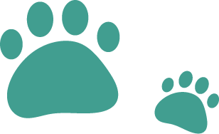 Duas patinhas verdes sendo uma grande e uma pequena.