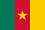 Cameroon-Flag-2-610x407.jpg