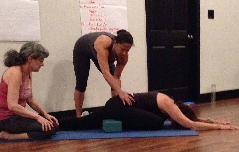 Hands on Assisting Workshop