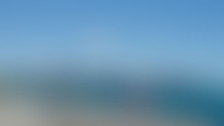 The Shedd Aquarium - Our Day in Chicago