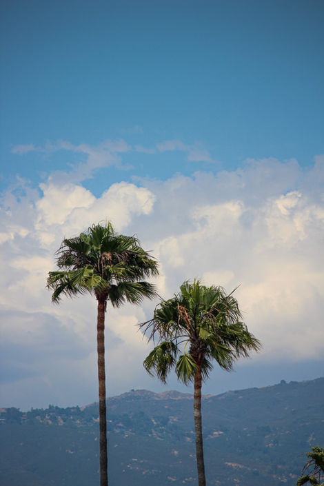 2D4B2822-9C8E-4624-8734-A23644E06D7C