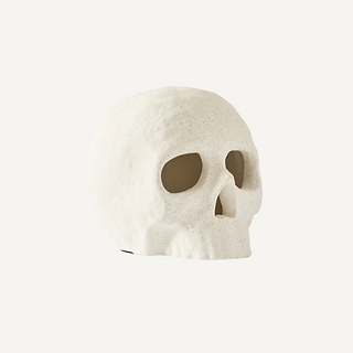 Shape Studies Ceramic Skulls