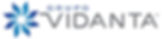 grupo-vidanta-vector-logo_edited.jpg